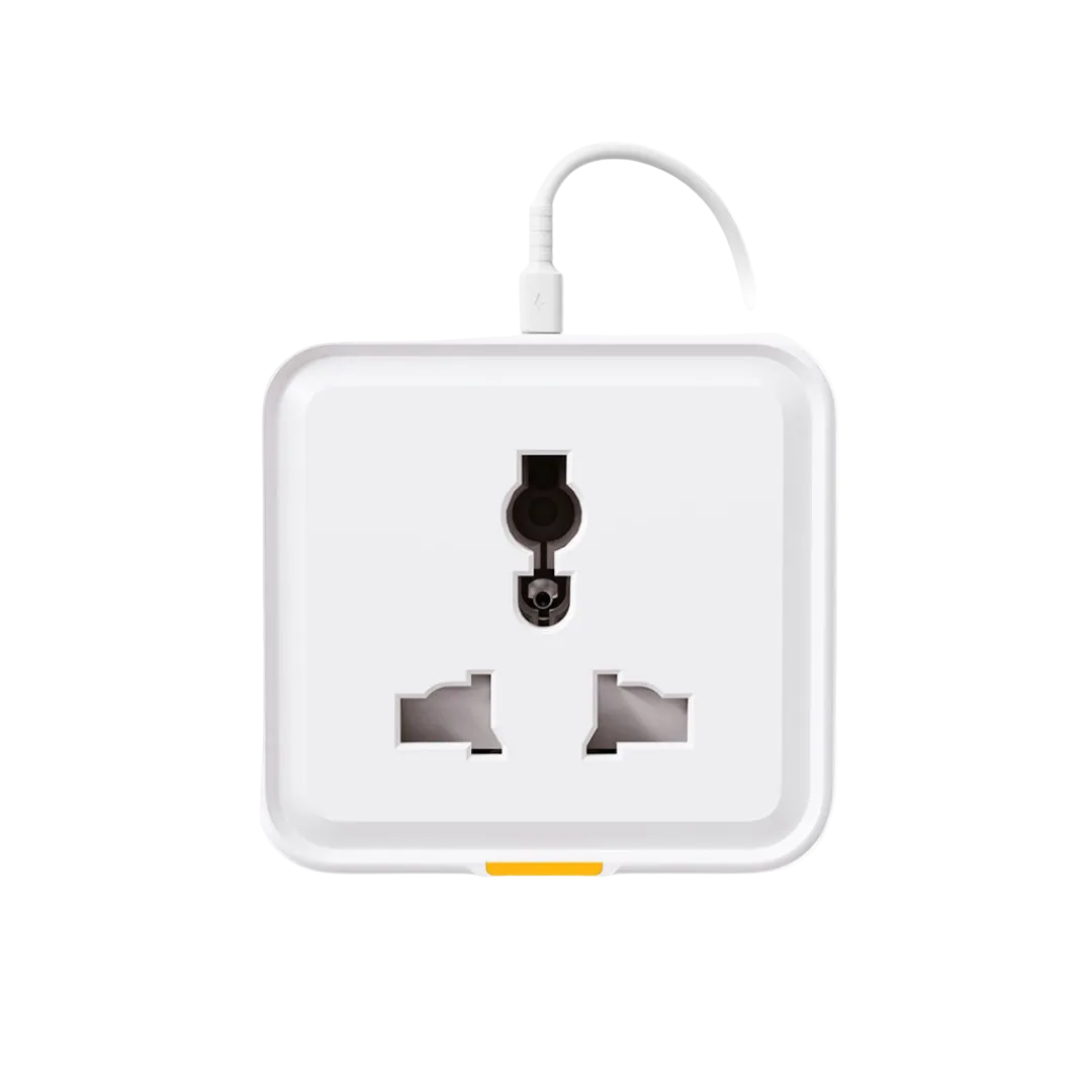 SW818 Smart UK Socket Type-C