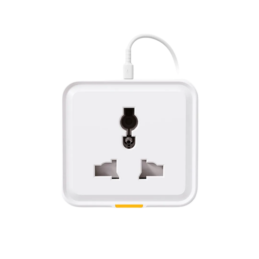 SW818 Smart UK Socket Type-C