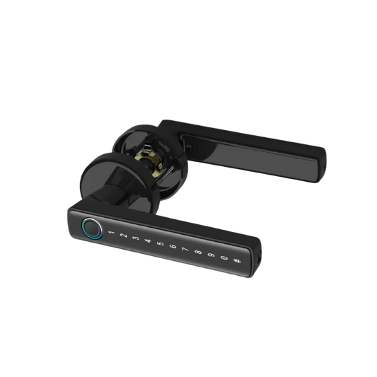 410 Smart Handle Lock