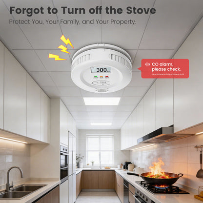 SN904 Smart Carbon Monoxide Alarm