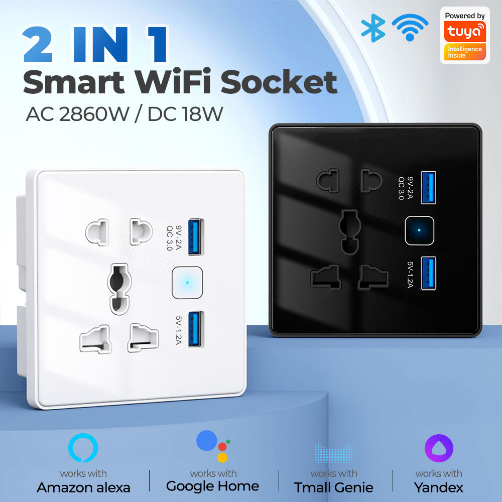 SW819 Smart Wall Socket USB Charger