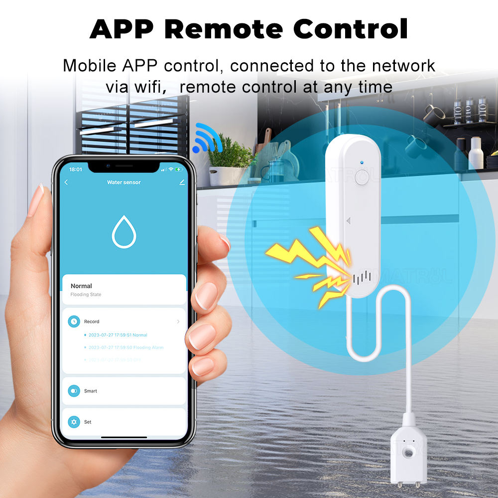 SN901 Smart Water Leak Sensor