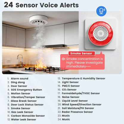DB701 Sound & Light Alarm