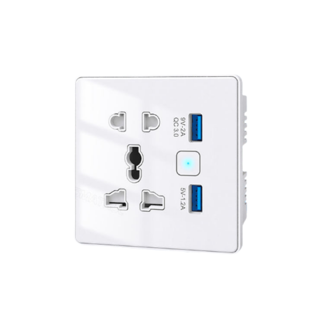 SW819 Smart Wall Socket USB Charger